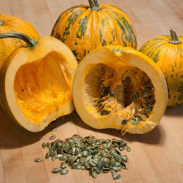 Organic Sprouted Styrian Pumpkin Seeds - Lark Ellen Farm